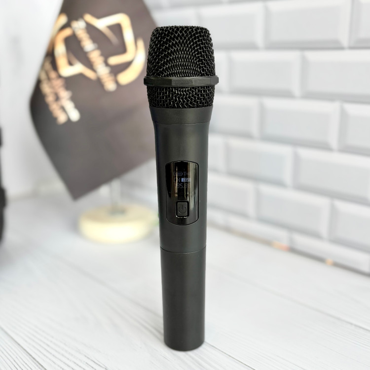 میکروفون بیسیم با نمایشگر همراه اسپیکر ZQS8166W