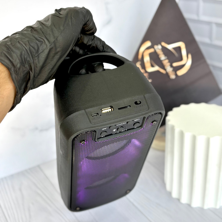 بلندگوی قابل حمل گریت نایس با صدای قوی و ورودی USB