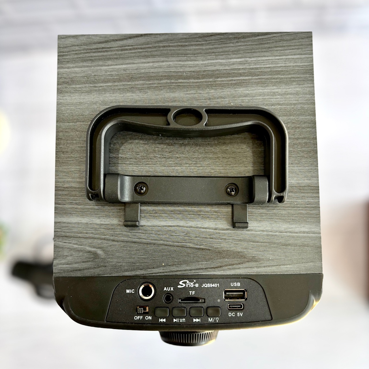 محتویات جعبه اسپیکر Sing-e شامل میکروفون و کابل تایپ C ا